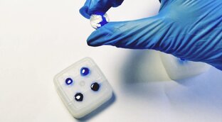 Залипательные видео