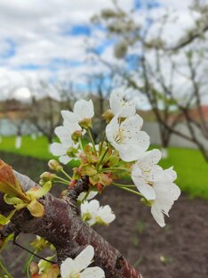 Жизнь как она есть 