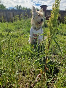 Эх лето лето )))