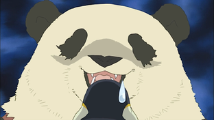 Кафе Белого Медведя