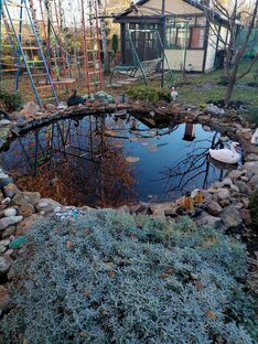 Любимая дача, обо всём по не многу.