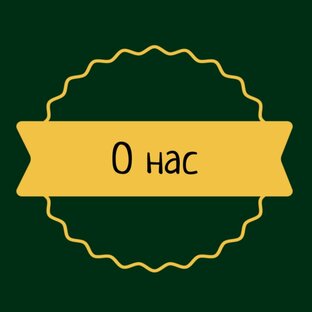 Волонтеры и собаки 