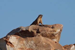 Природный Парк "ОЛЕНИЙ"