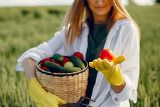 Огород/грядки/теплицы/почва