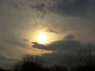 Научные статьи