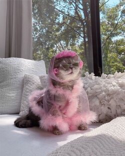 Все для волос