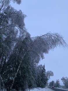 Россия в объективе. 