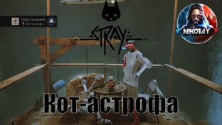 Stray