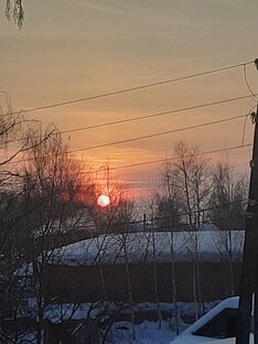 Прогулки, общение с природой