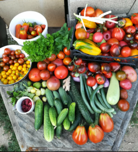 ПОСТНЫЕ БЛЮДА.(САЛАТЫ)