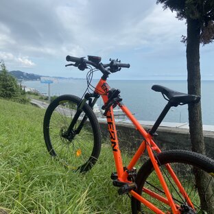 Тренировки