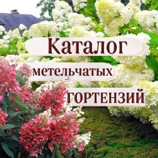КАТАЛОГ