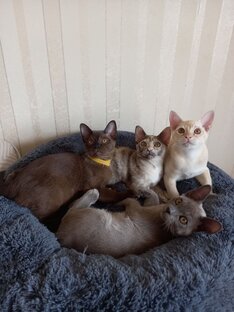 Наши выпускники 