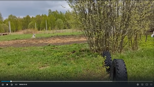 Проект Сапуново.