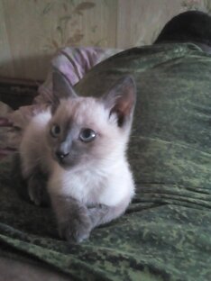 Мы подросли