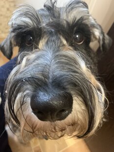 Советы от Ориона