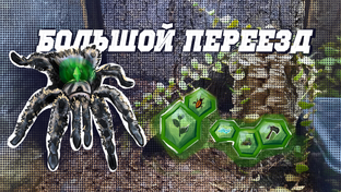 Переезд