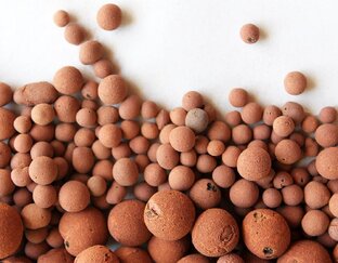 Гидропоника.