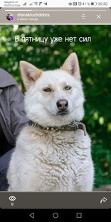 Хочу домой!