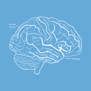 Факты из книг