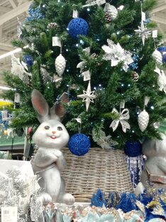 Все про новый год🎄❄️🍾