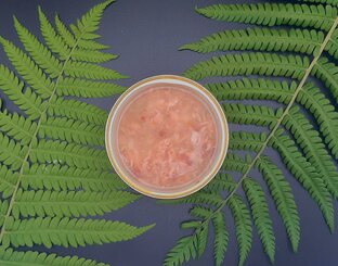 Вид влажных кормов 