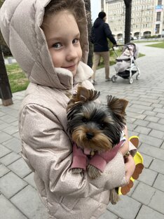 МАТИ до 8 месяцев