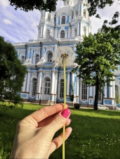 Стихи