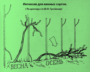 Копилка опыта, оригинальные идеи