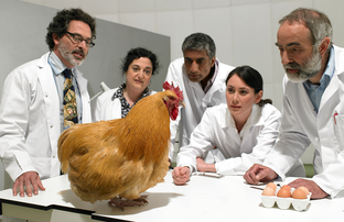 Ветеринария