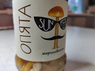 Грибы и кулинария.