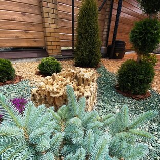 Цветы и цветники