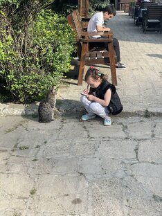 Записываем пожелания котика! У него и так всё ок, но на всякий случай...