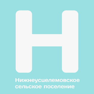 Нижнеусцелемовское сельское поселение