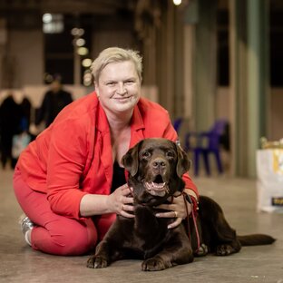 Наши собаки