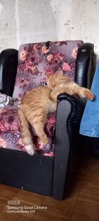 Вопрос-ответ