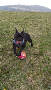 Шанти-футболистка