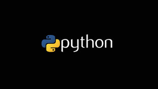 Python с нуля