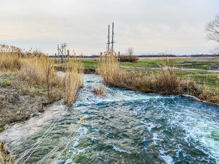 Воронежская область