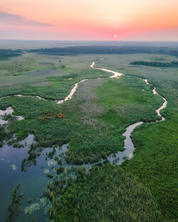 Природа Ленинградской области