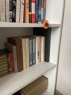 С любовью о книгах 