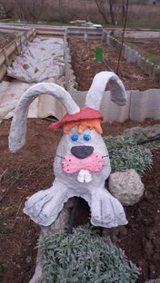 зайка