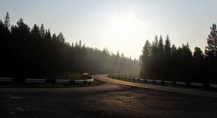 Мои каждодневные отчеты