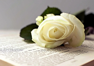 Поэзия для души