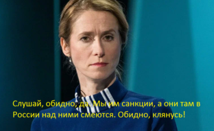 Принцесса войны, премьер-министр Эстонии Кая Каллас