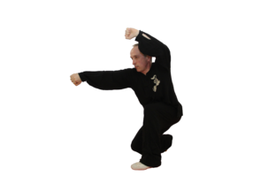 Бацзицюань - кулак восьми пределов