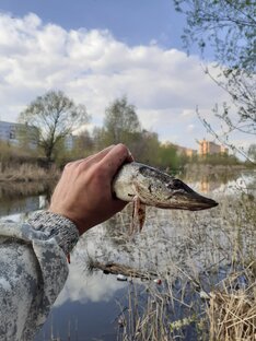 СТРИТФИШИНГ В РЯЗАНИ