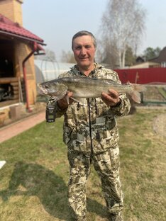 В погоне за судаком