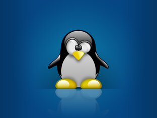 Linux