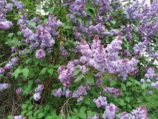 Удивительное рядом.